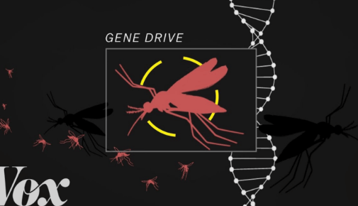 Snapshot from a TedX YouTube Video, displaying an illustration of a red mosquito with a target on it, and the words "GENE DRIVE" written above it. Featuring a background illustration of a DNA strand.