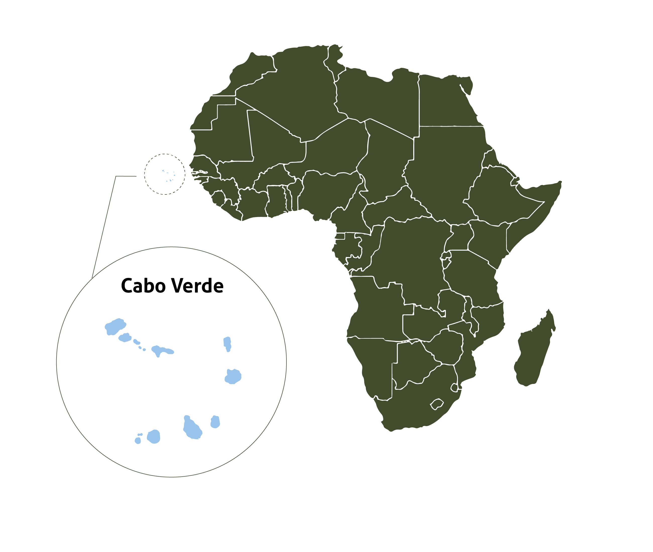 Brudgom Ynkelig væbner Introducing Target Malaria Cabo Verde | Target Malaria