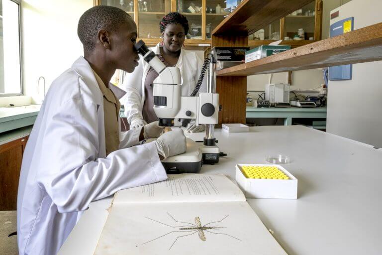 Celebrating World Health Day Target Malaria