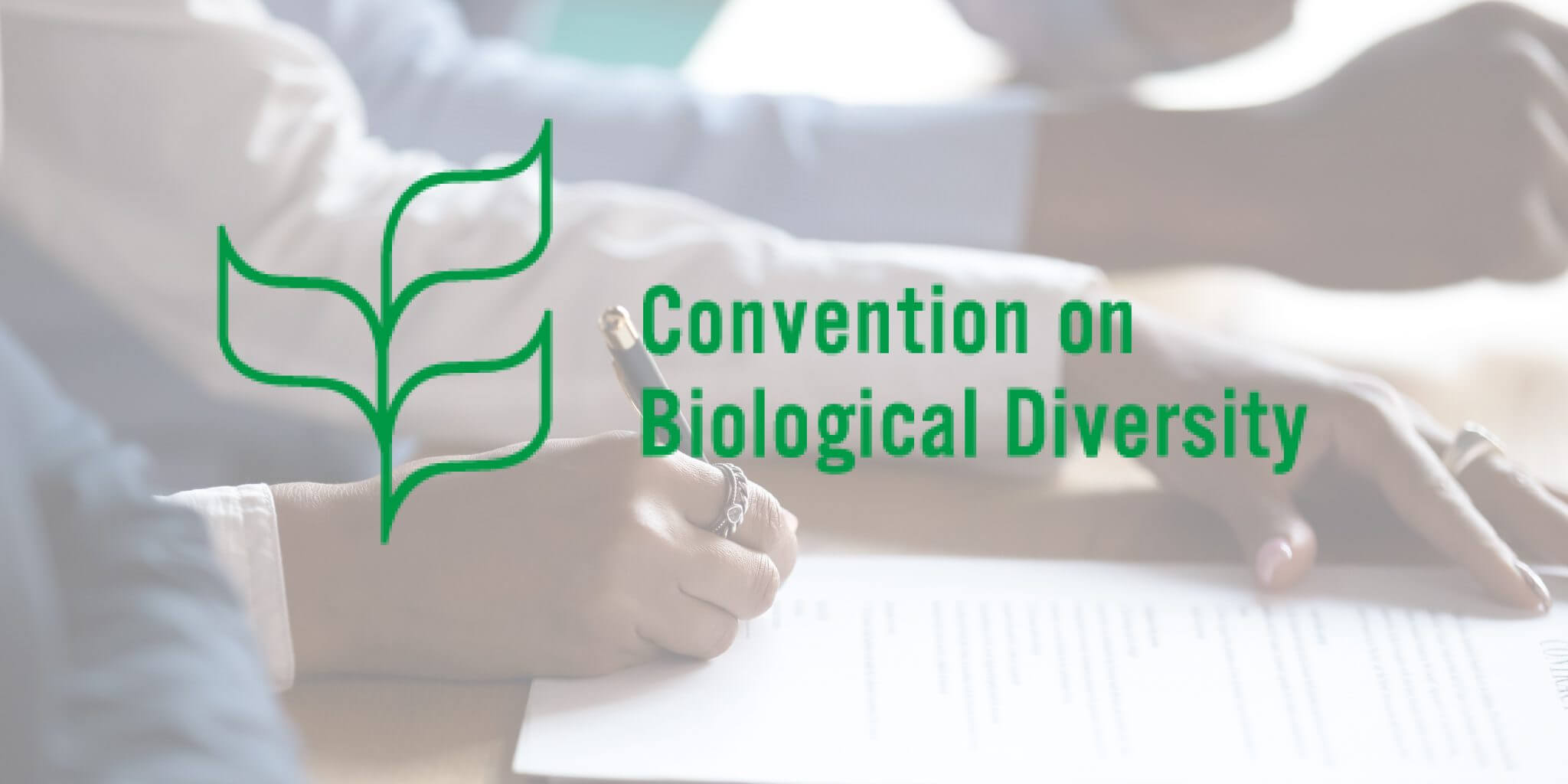 Convention On Biological Diversity Talks Go Virtual | Target Malaria