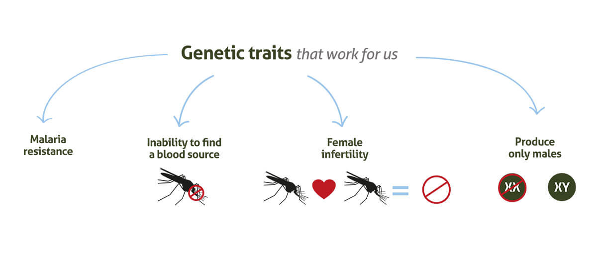Gene-Drive_infographic-banners-03