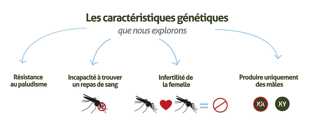 Gene-Drive_infographic-banners_website_FR-03