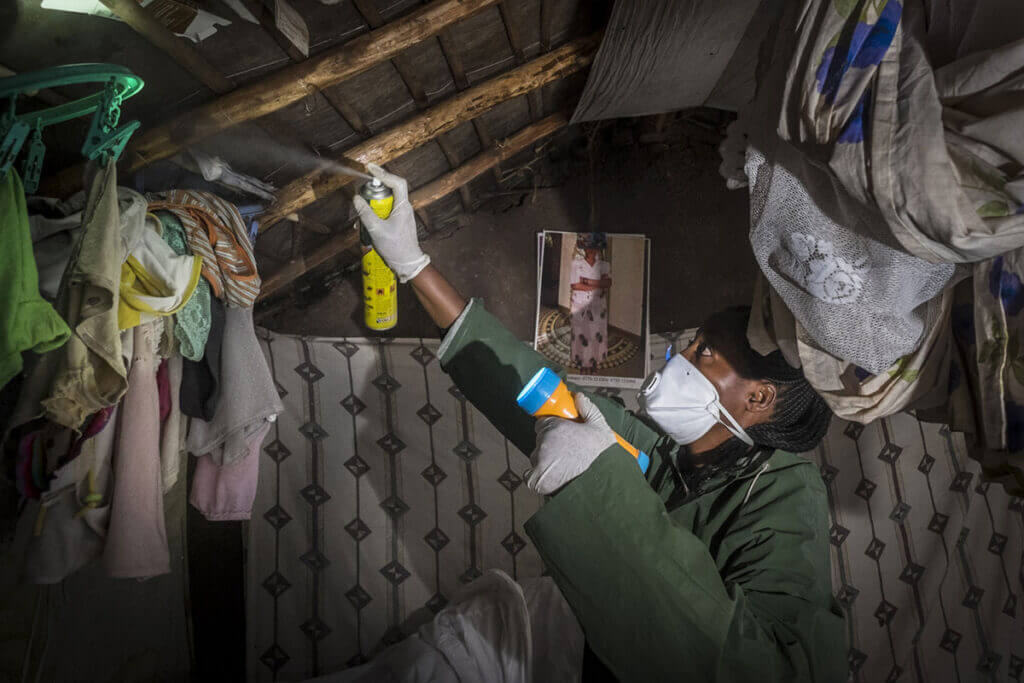 Mosquitoes collection through spraying indoors (Pyrthrum Spray Catch method)