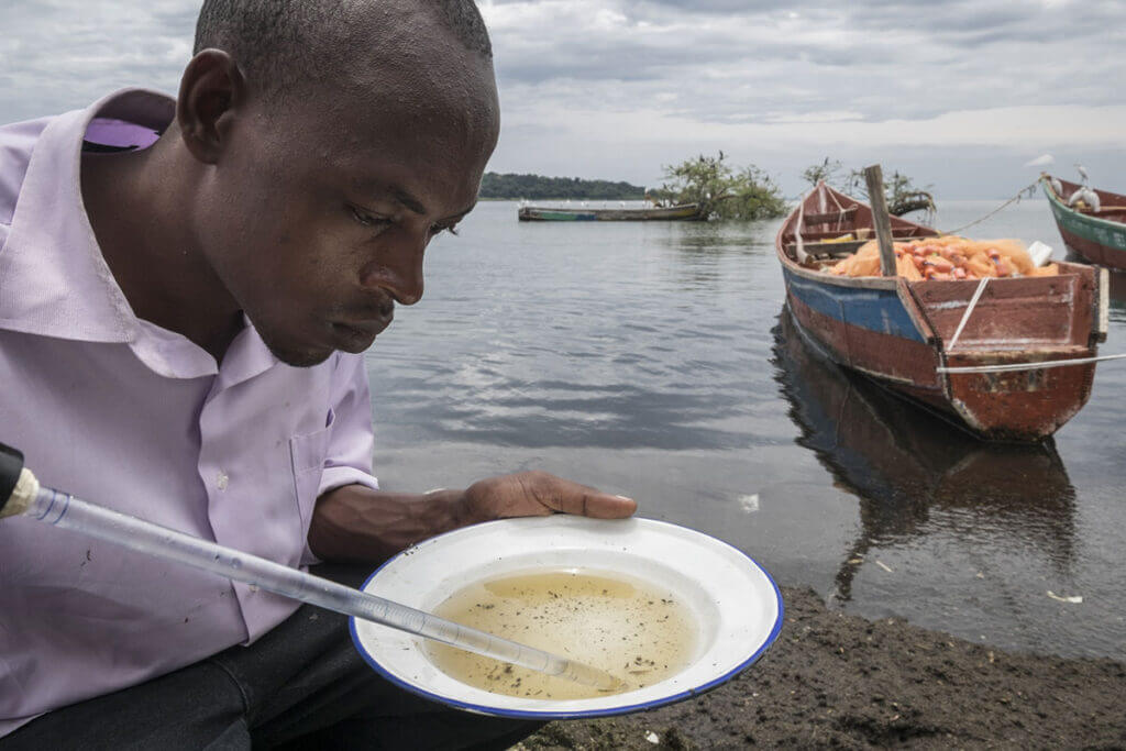 Field Entomology staff use a larval scoop to collect stagnant water containing larvae
