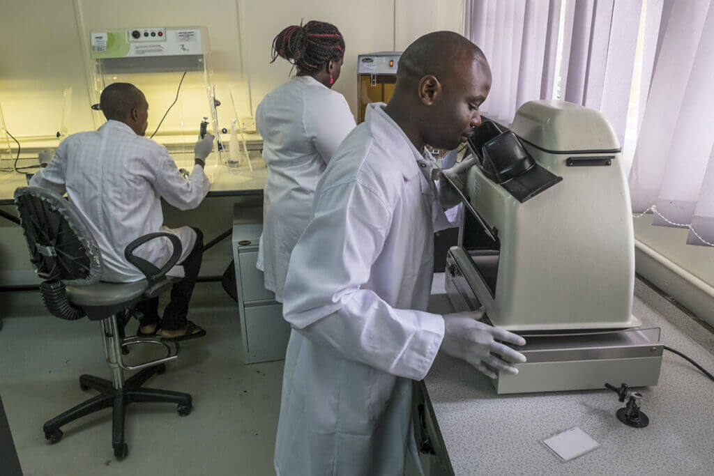 Staff performing morphological identification experiments in the laboratory