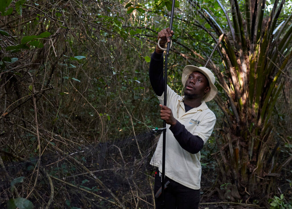 A Target Malaria emplotee stands in a woodsy area, carrying out field work.