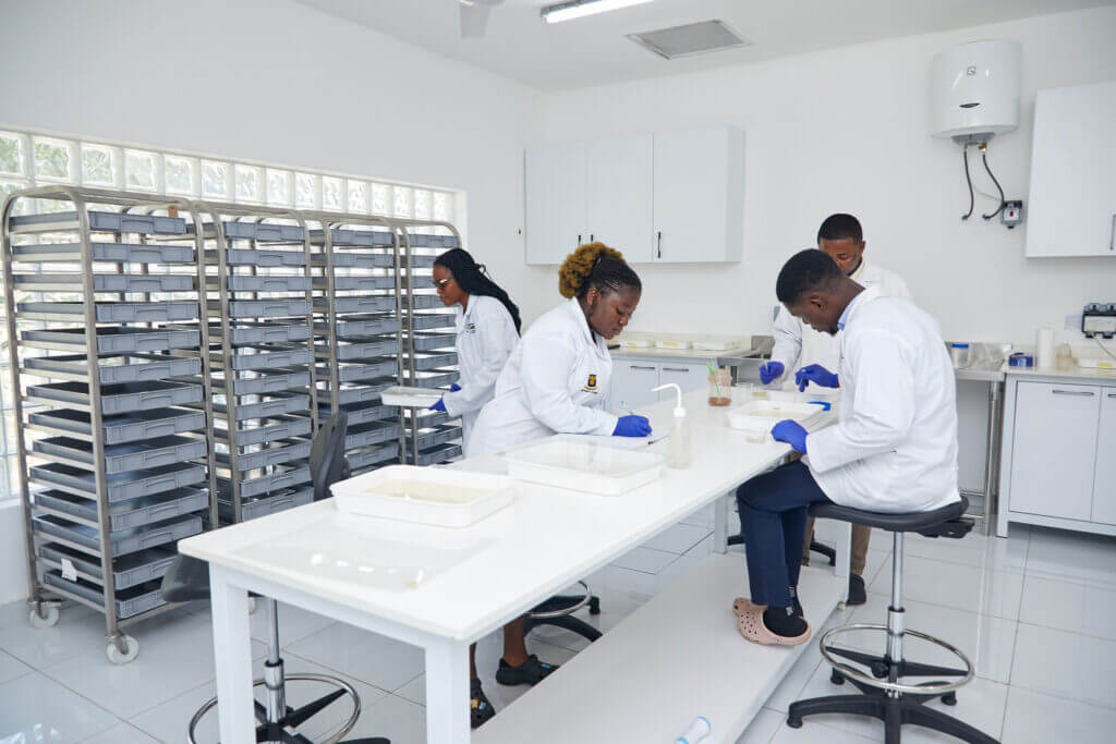 Five scientists at work in the insectary, they sit and stand around a long table, engaging in tasks such as examining trays and taking notes.