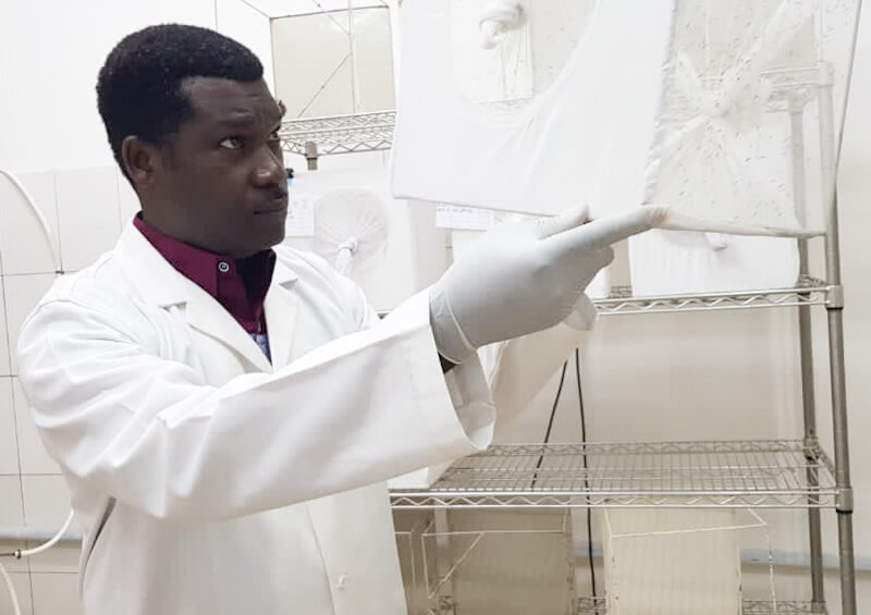 Diabaté Abdoulaye observes a small cage in the lab