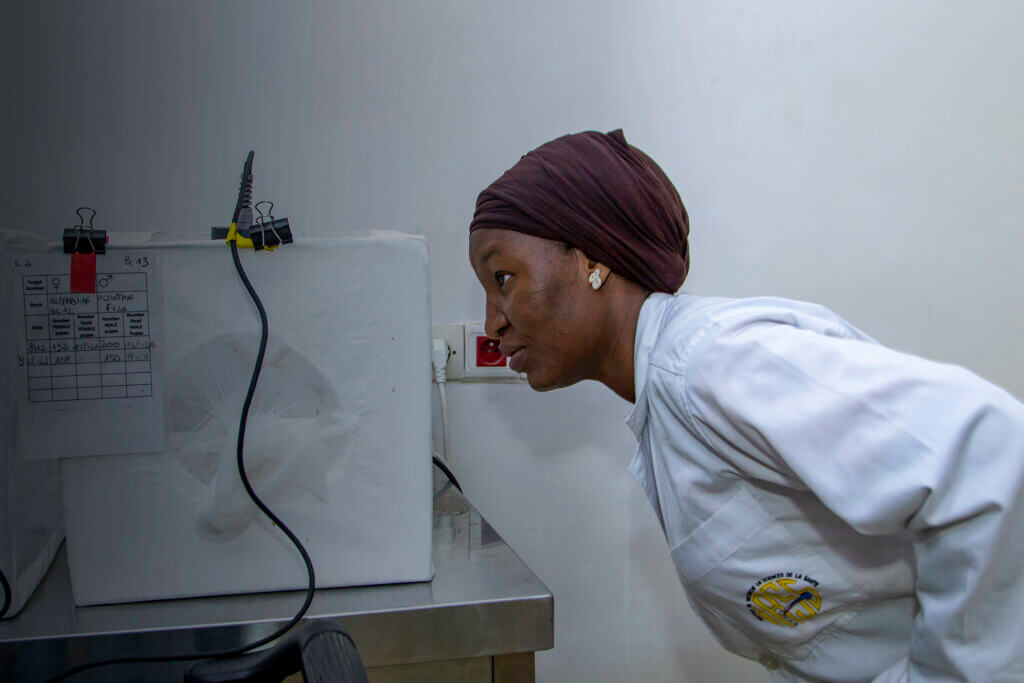 Edith Lamien, technician, stands in the laboratory observing mosquitoes in a small cage.