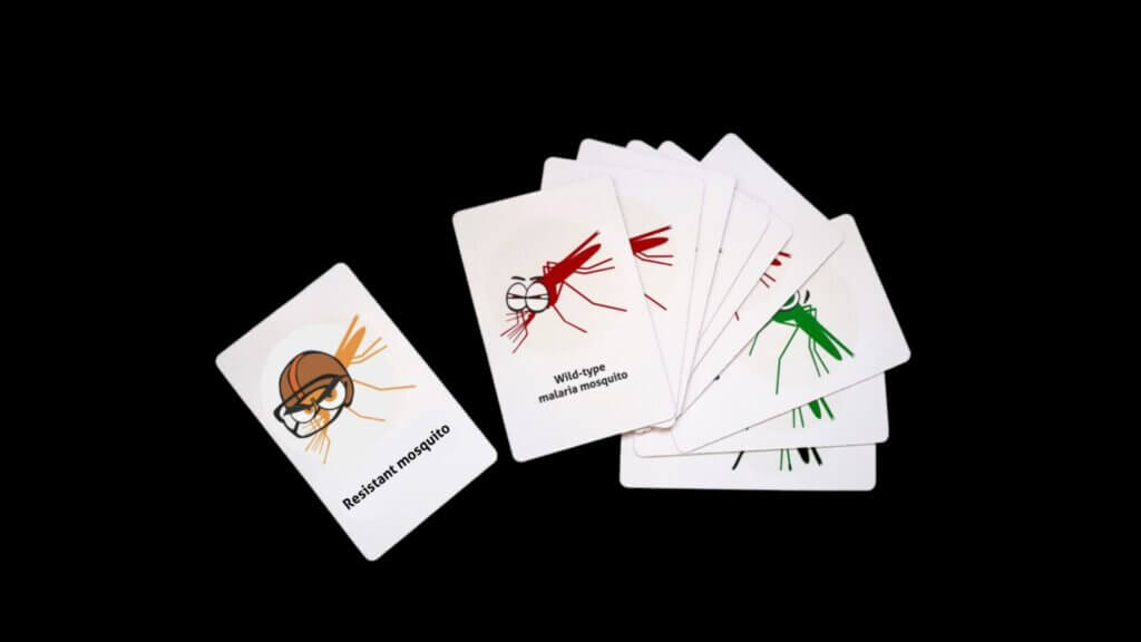 Cards from the Mozzie Drive card game: they each have illustrations of differently coloured mosquitos on them; the isible cards are labelled 'resistent mosquito' and 'wild-type malaria mosquito'.