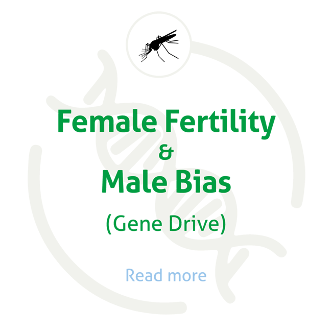 Female Fertility & Male Bias (Gene Drive)