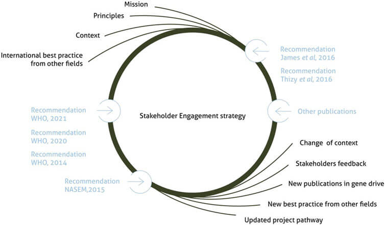 A simple diagram outlining the stakeholder engagement strategy. It shows that the stratgey inputs WHO reccomendations, reccomendations from James et al, 2016, and Thizy et al, 2016, as well as 'other publications'. The strategy is based on Target Malaria's mission, principles, context and international best practice from other fields, as well as change of context, stakeholder feedback, new publications in gene drive, new best practice from other fields and updates project pathway.