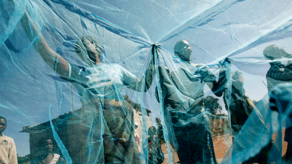 A group of people holding up a blue mosquito net