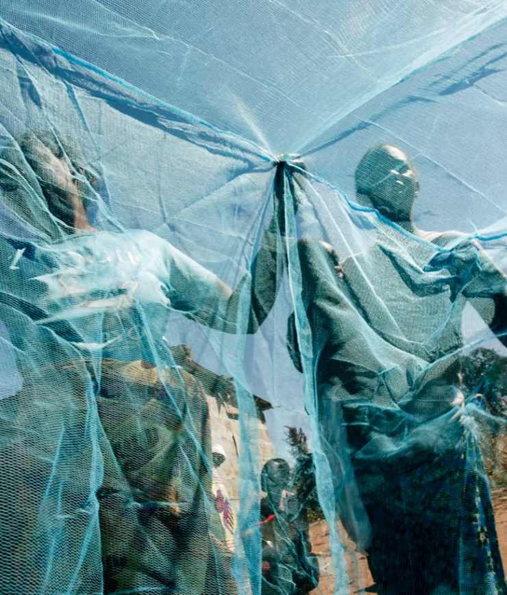 A group of people holding up a blue mosquito net