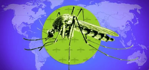 Image of a mosquito by the Financial Times