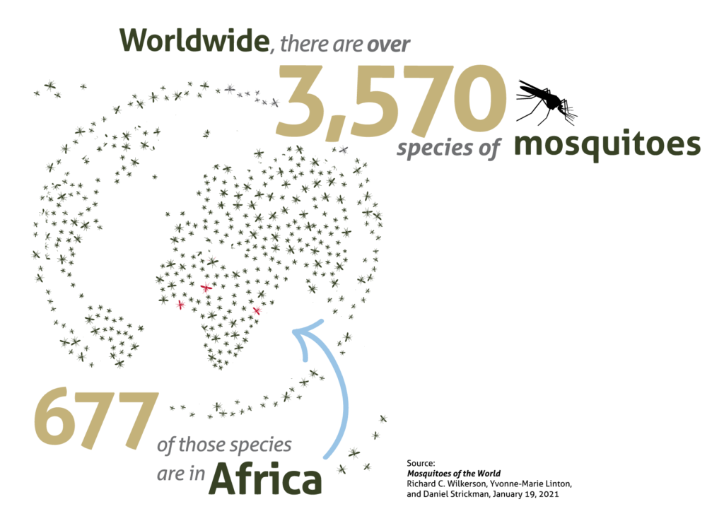 There are 3550 Mosquitoes Worldwide and 677 of those in Africa