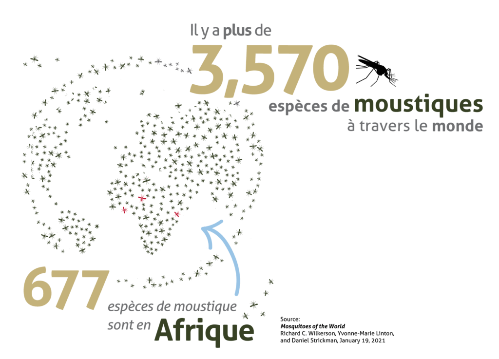 Il y a 3570 moustiques dans le monde et 677 de ceux-ci sont en Afrique