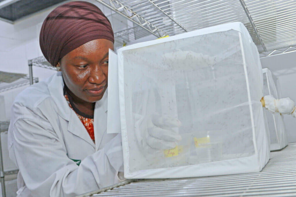 Edith Lamien in the lab