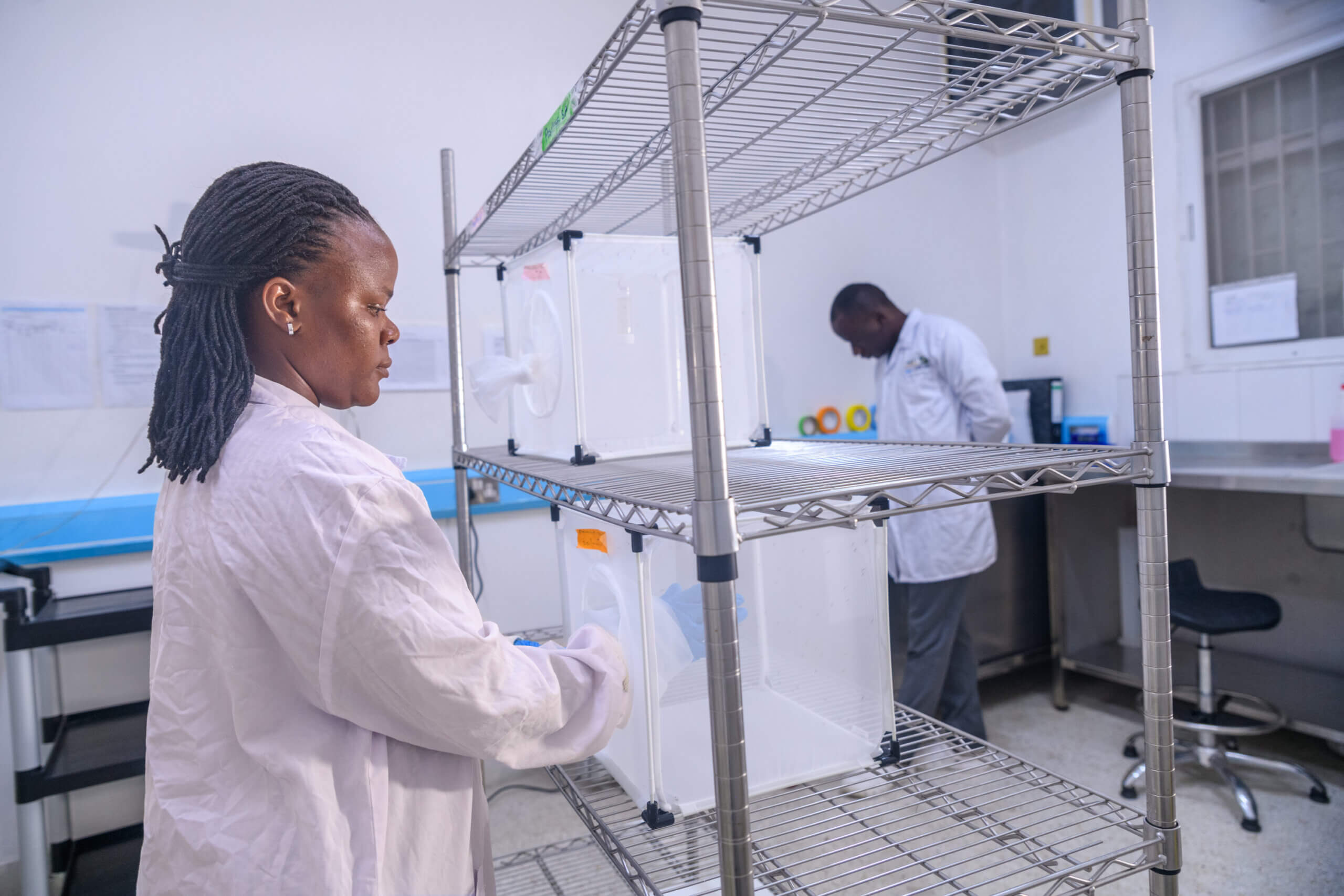 staff removing a sugar feeder from the cage