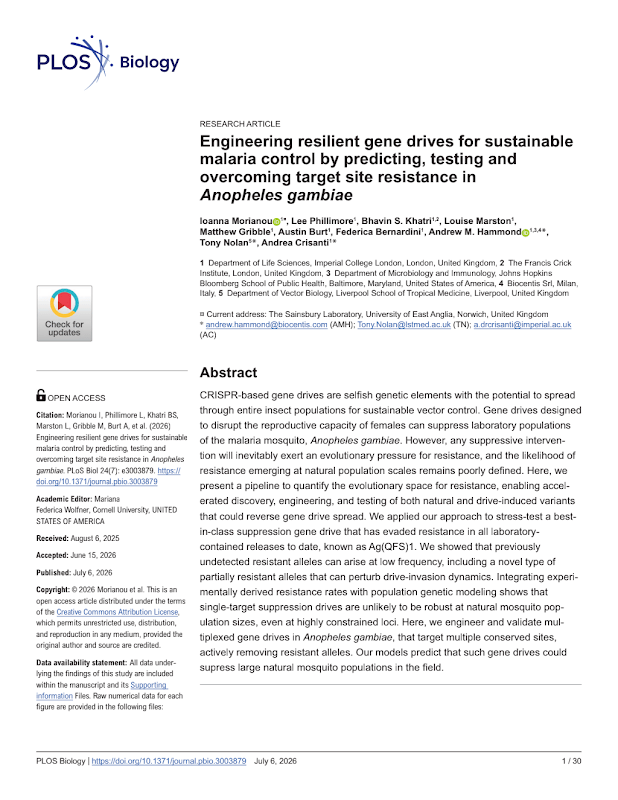 Engineering resilient gene drives for sustainable malaria control by predicting, testing and overcoming target site resistance in Anopheles gambiae